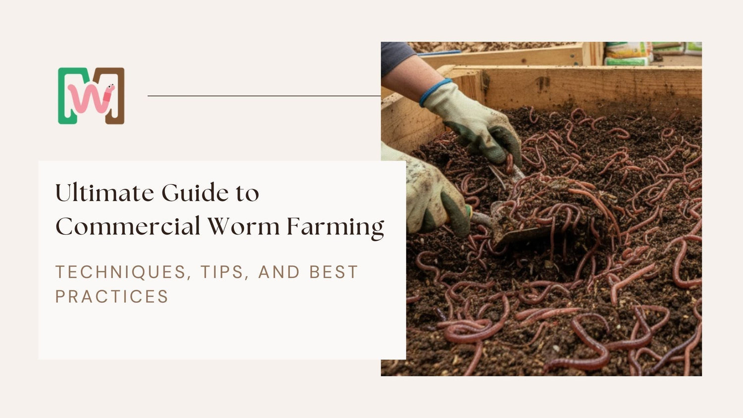 Ultimate Guide to Commercial Worm Farming: Techniques, Tips, and Best Practices