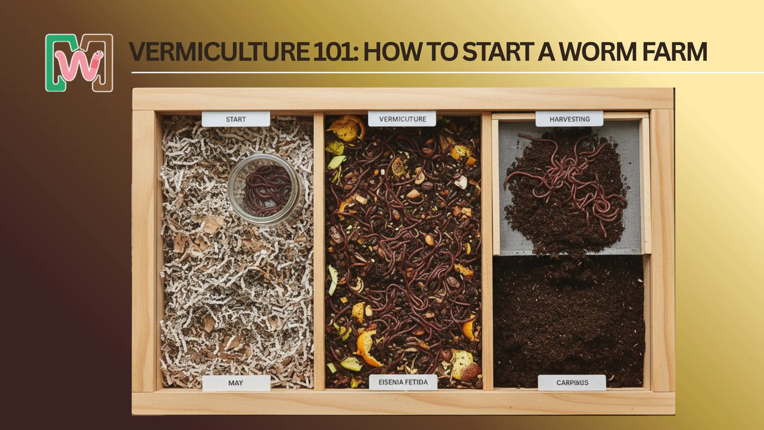 Vermiculture 101: How To Start A Worm Farm as a Business or a Hobby