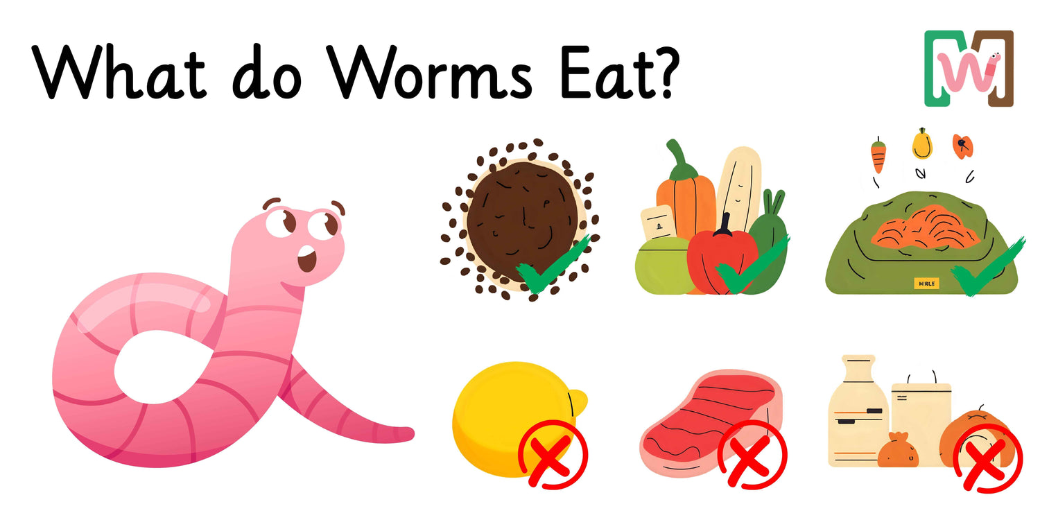 What Do Worms Eat? A Detailed Guide for What To Feed Your Worms