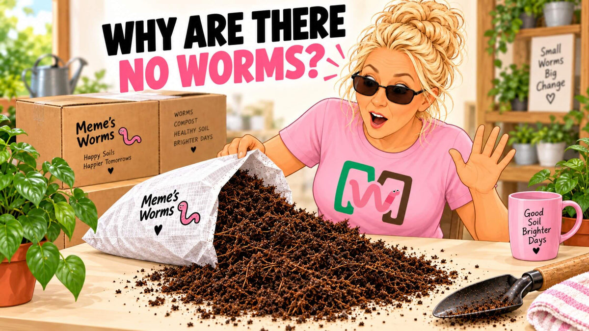 Why Are There No Worms in My Bag