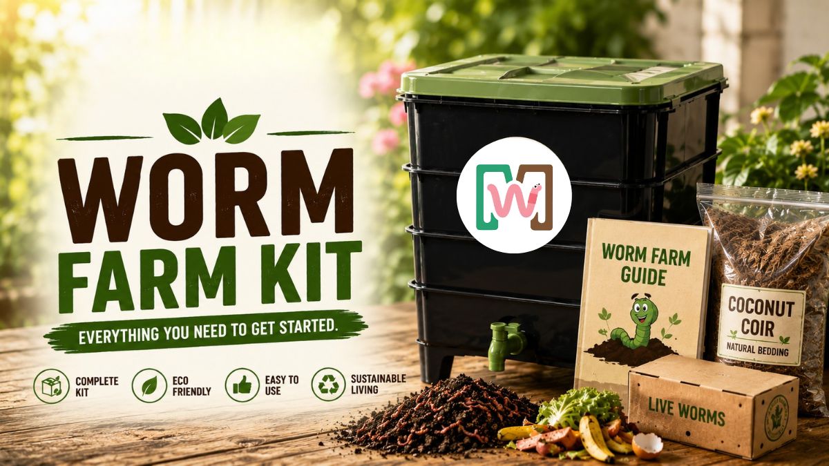 Worm Farm Kit