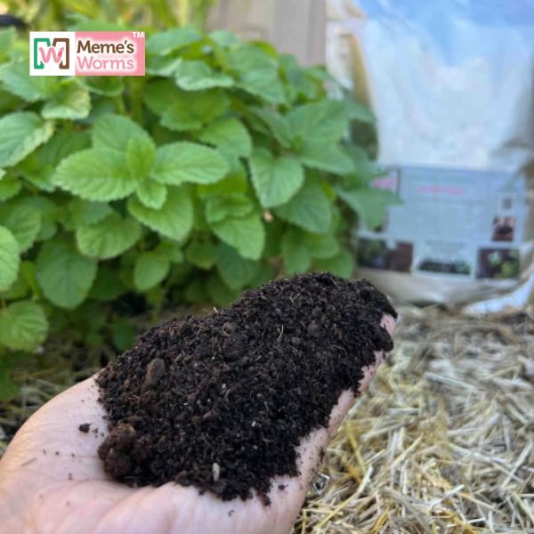 Organic Worm Castings