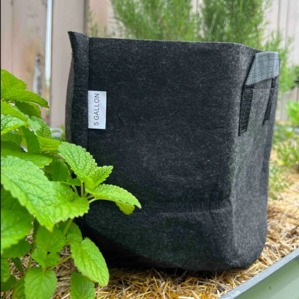 Meme's Fabric Worm Bin