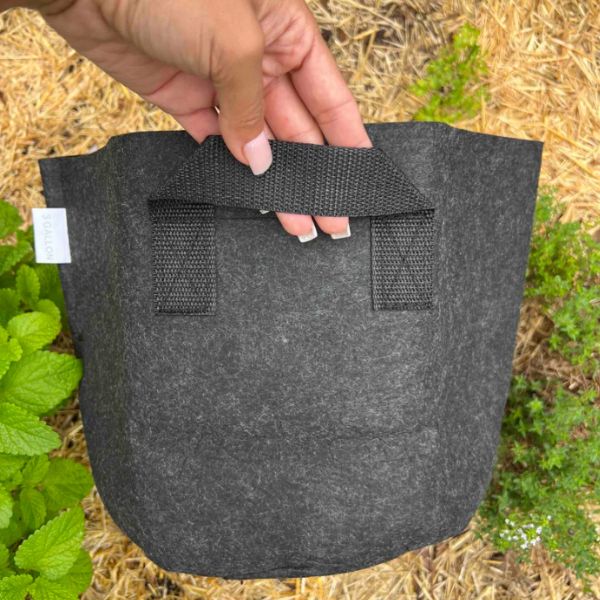 Contenedor de gusanos de tela de Meme