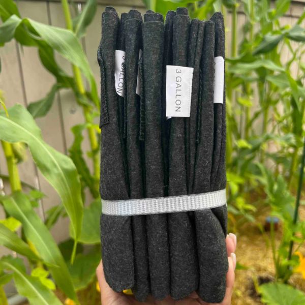 Contenedor de gusanos de tela de Meme