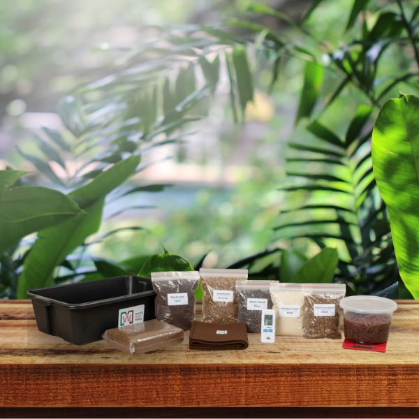 Kit de inicio para contenedor de lombrices