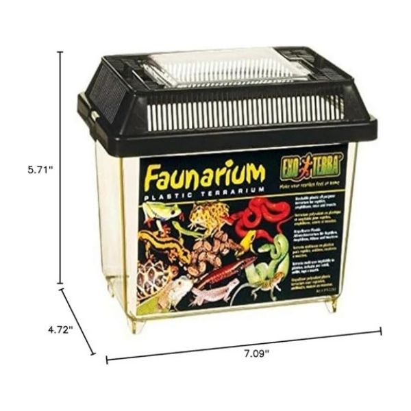 Lombricompostera para docentes: kit de compostaje para el aula con vermifusión