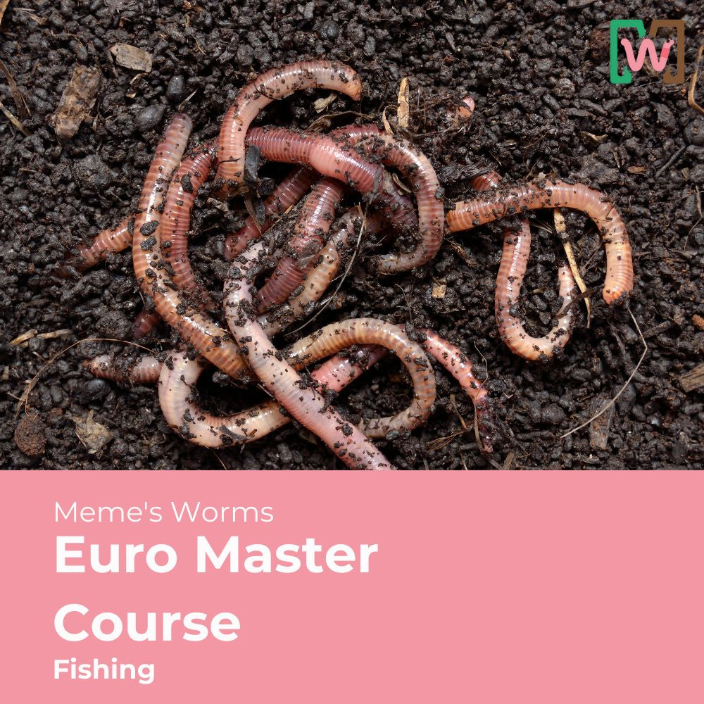 Commercial Worm Farming Bundle