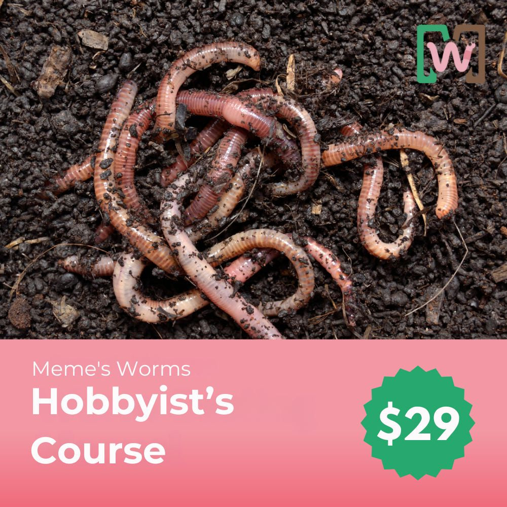 Worm Farming Course for Hobbyist