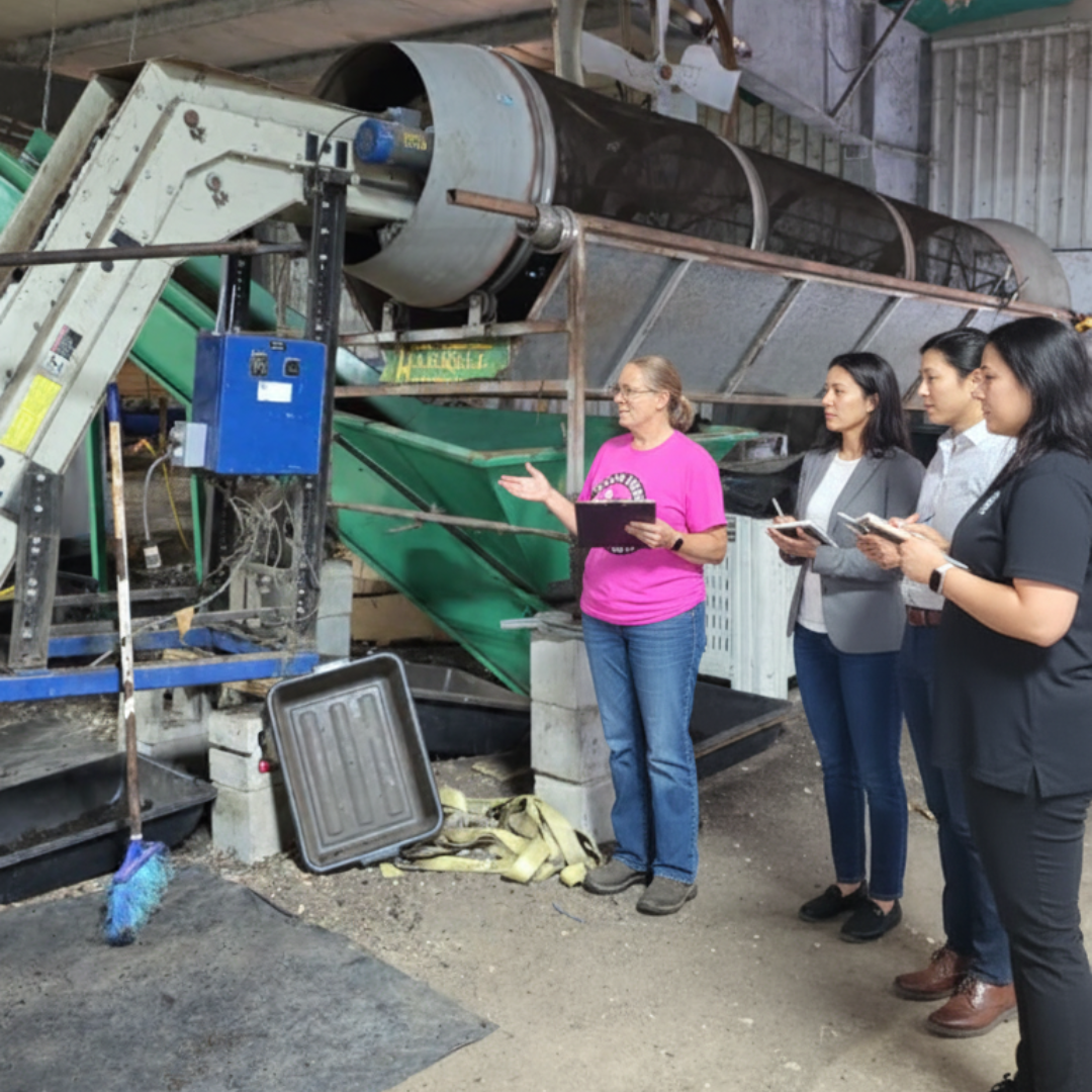 Visita a la granja de lombrices de Meme para la cría comercial de lombrices