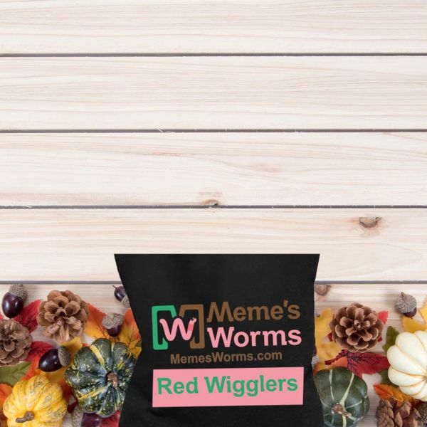 A granel: Lombrices de compostaje Pure Red Wigglers