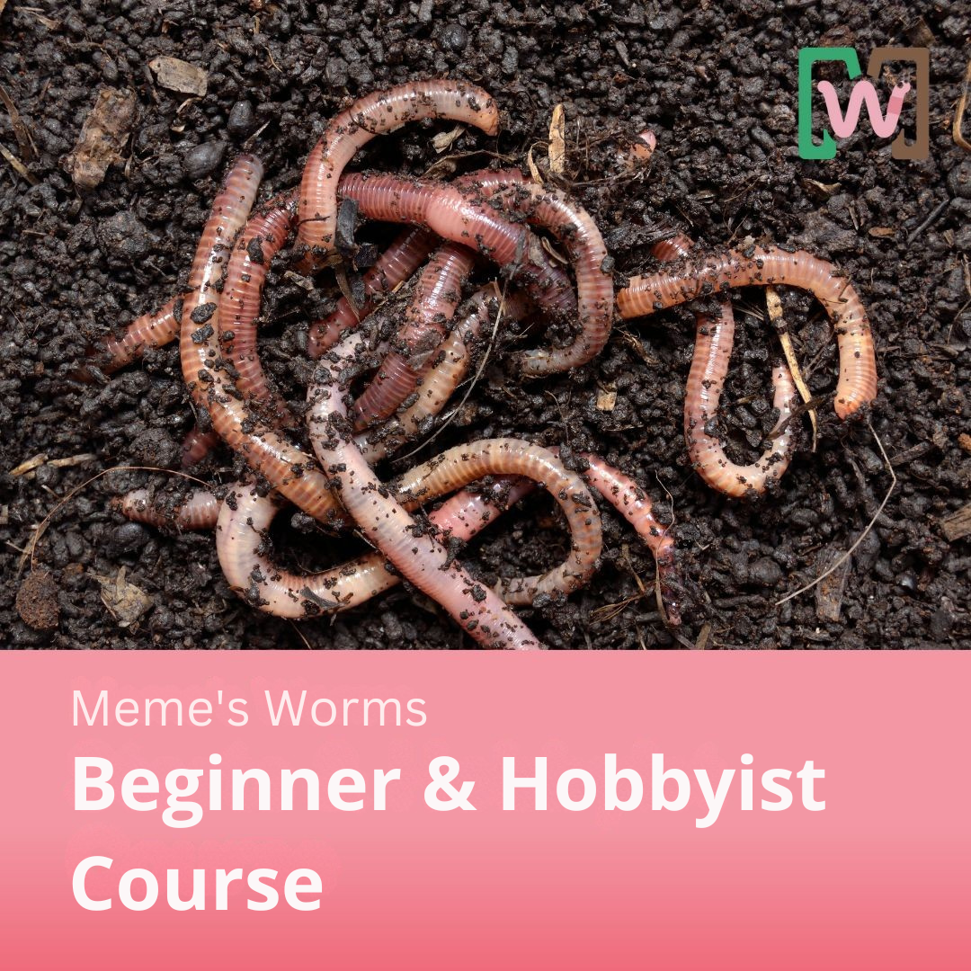 Hobbyist Bundle - Ready to Go Worm System, Worm Bin, Course and Castings