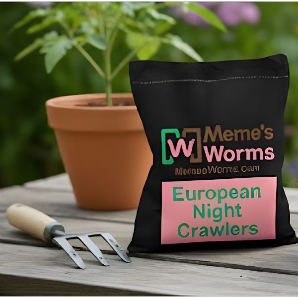 european nightcrawlers bulk