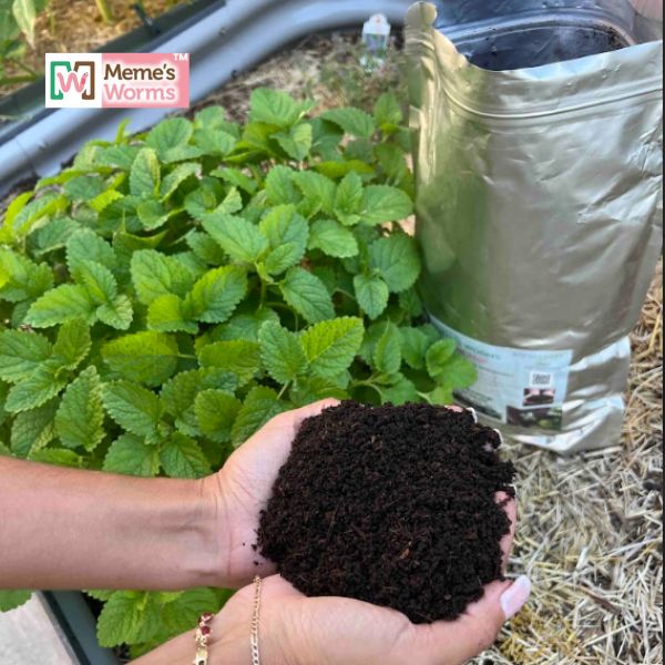 Humus de lombriz a granel