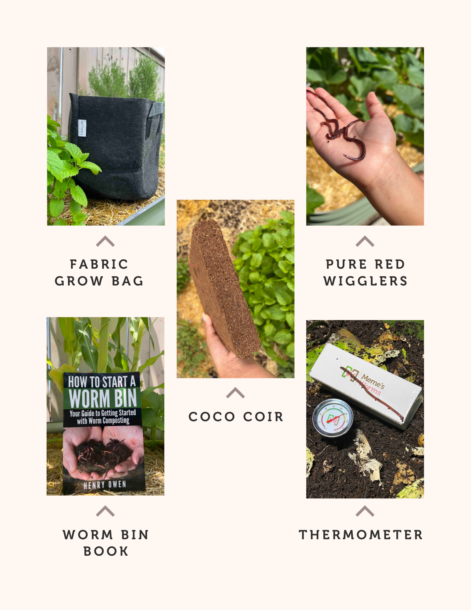 Composting Guide for Beginners
