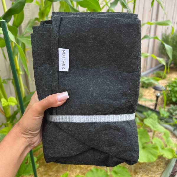 Ecosystem with Esienia fiteda composting worms