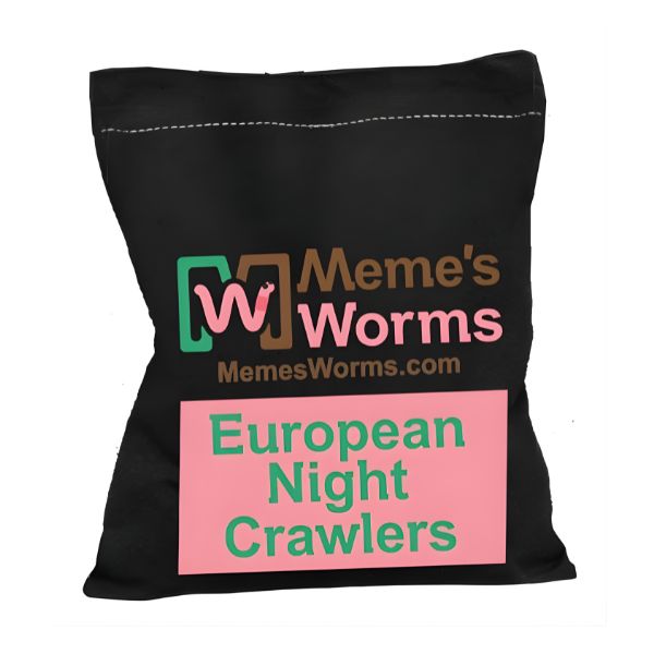 European Nightcrawlers For Sale