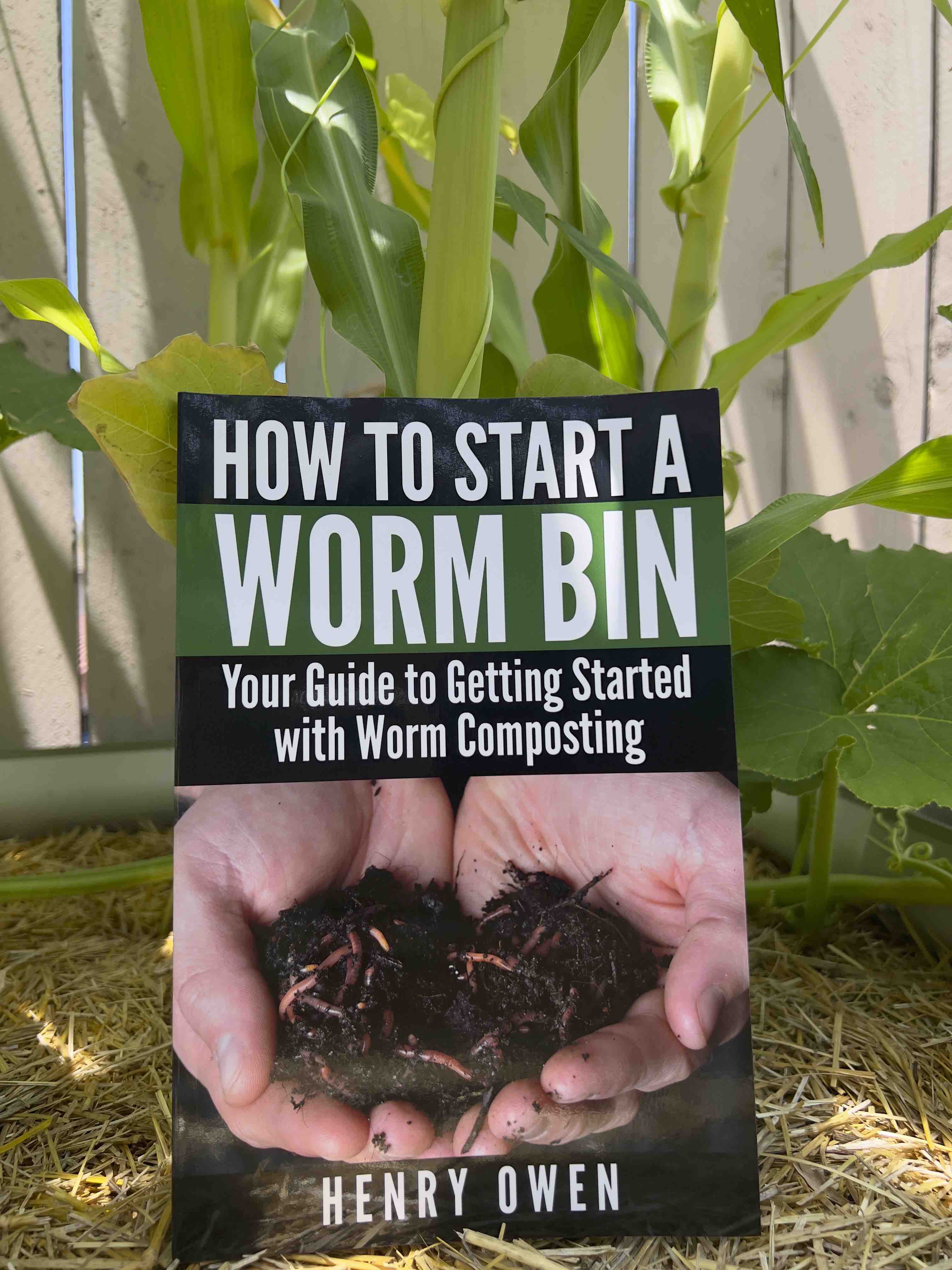 How To Start A Worm Bin