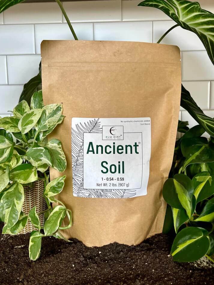 Ancient Soil: Organic Living Soil for Thriving Plants