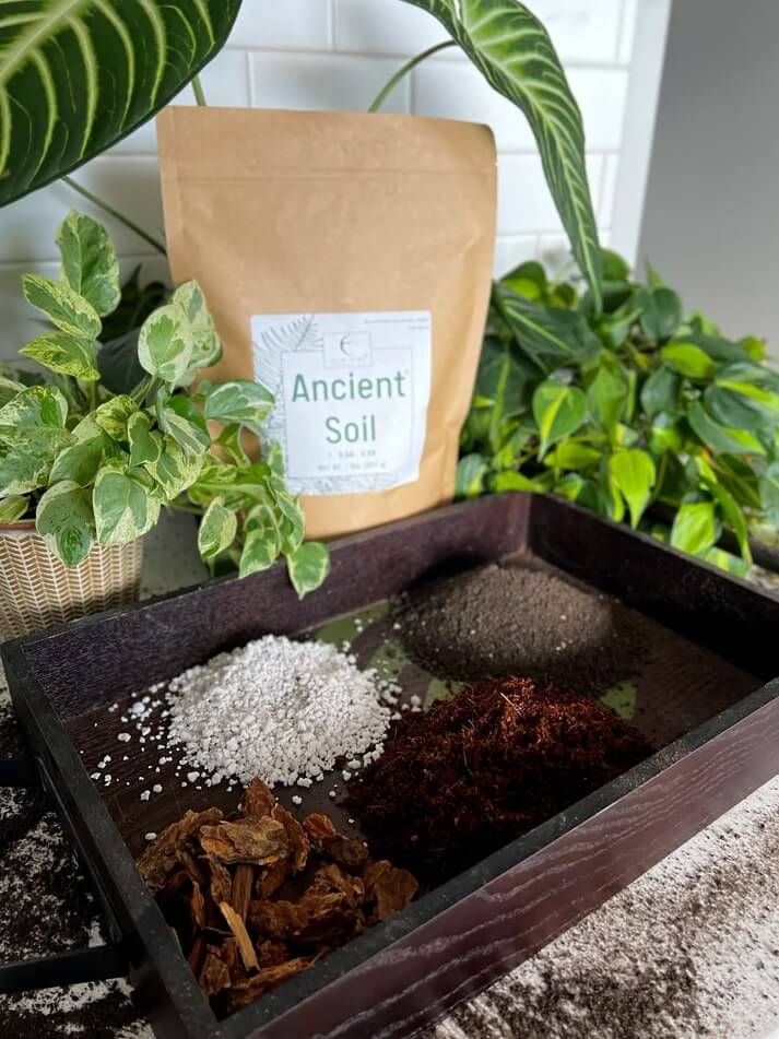 Ancient Soil: Organic Living Soil for Thriving Plants