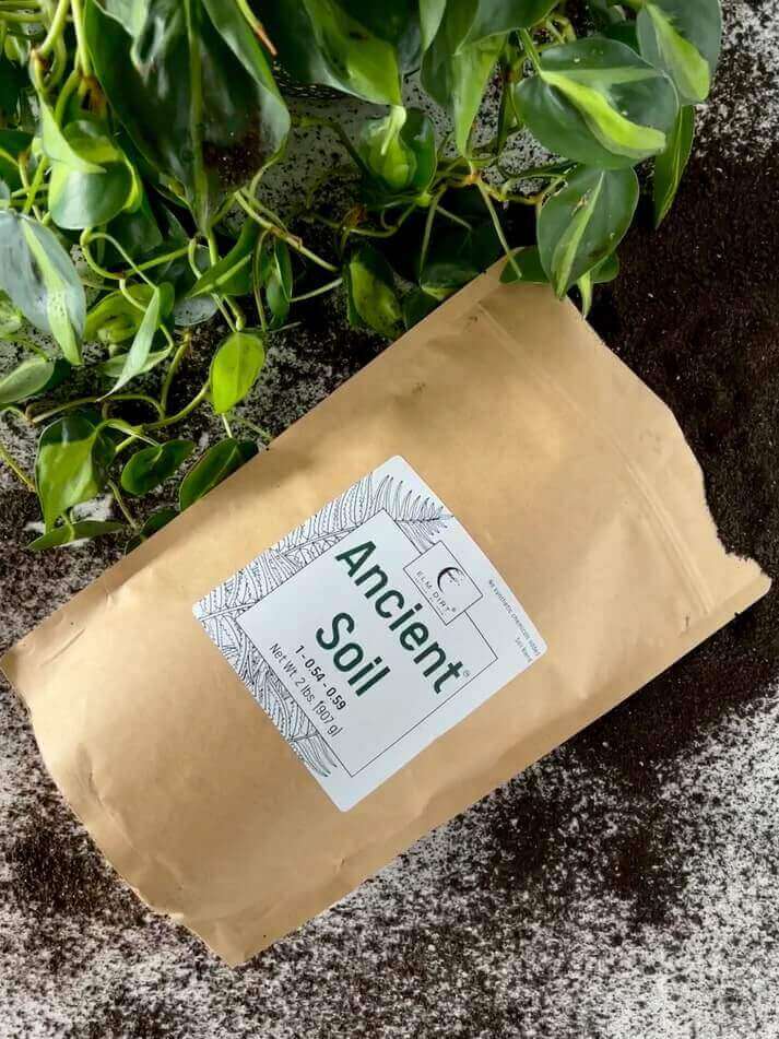 Ancient Soil: Organic Living Soil for Thriving Plants