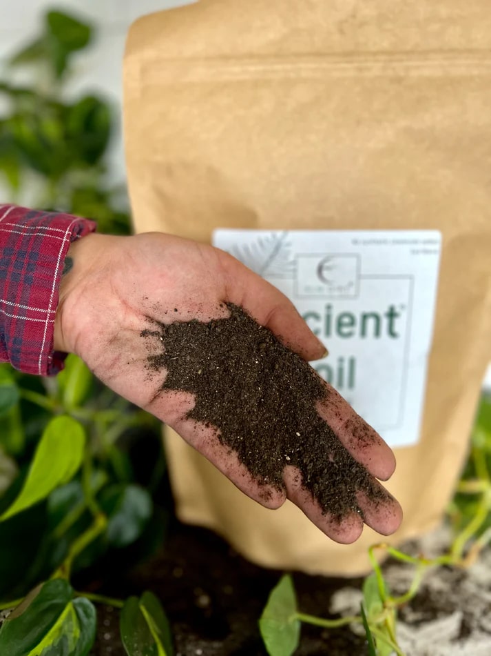 Ancient Soil: Organic Living Soil for Thriving Plants