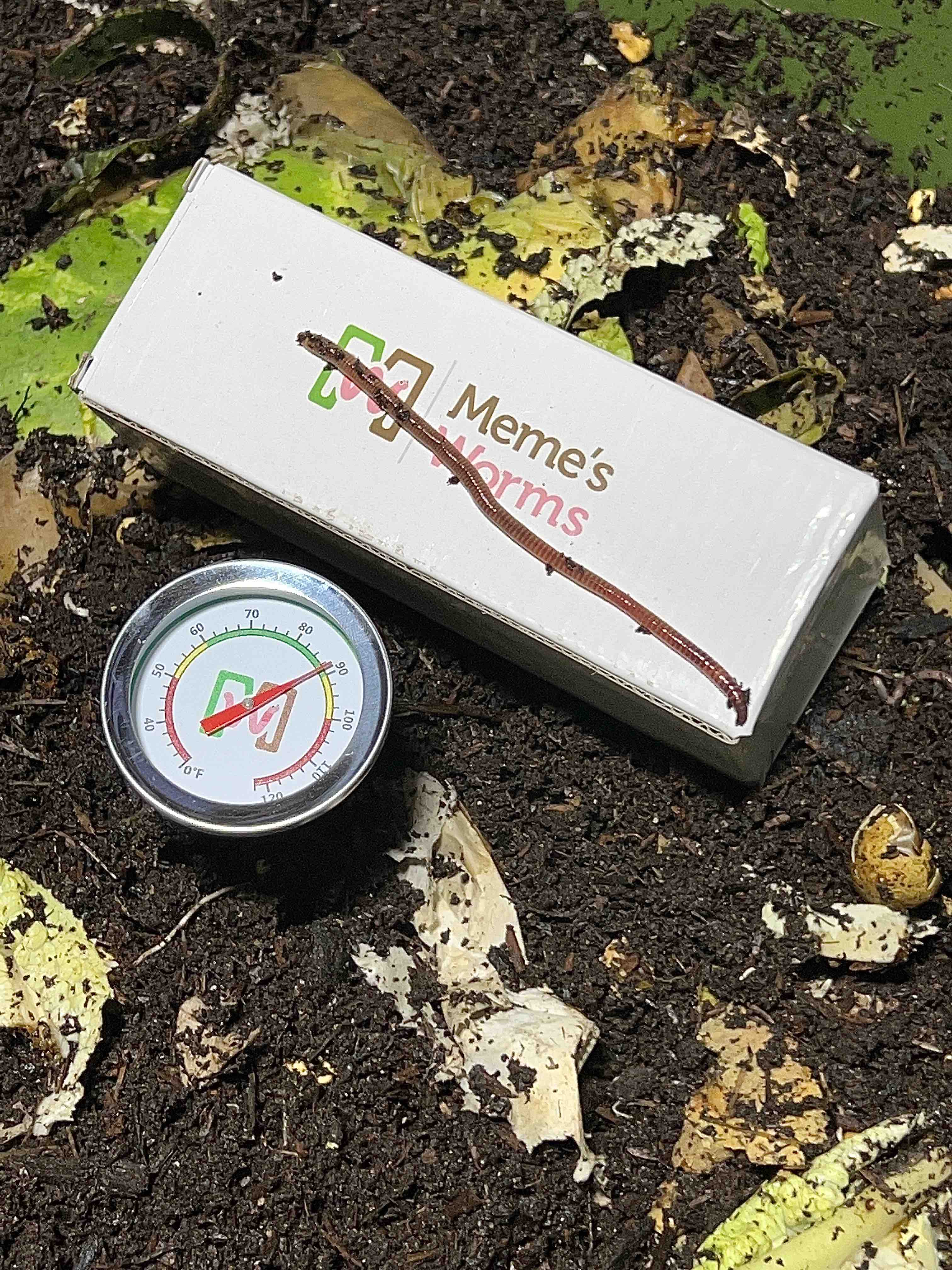 Meme's Worm Thermometer