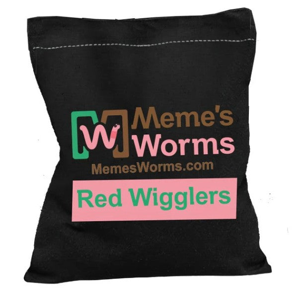 Pure Red Wiggler Composting Worms