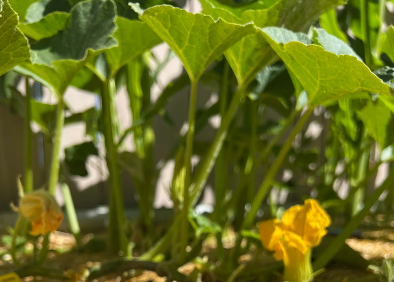 Screenshot 2023-09-20