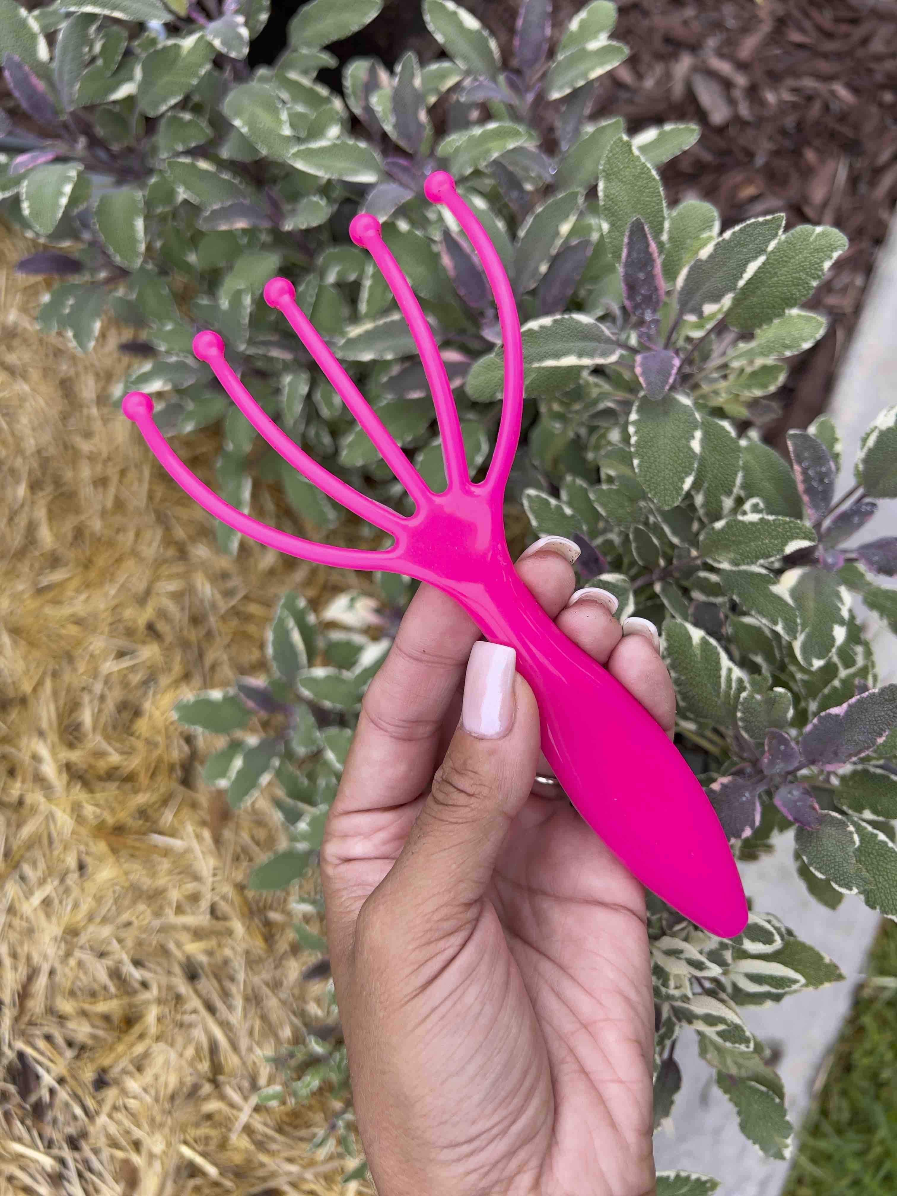 Worm Comb Meme's Worms