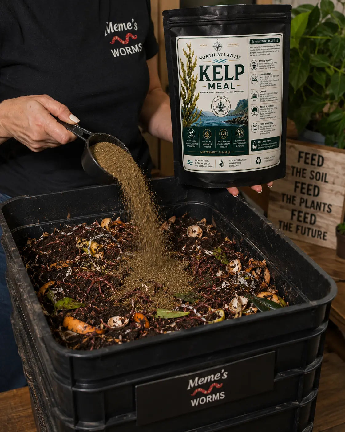 seaweed meal