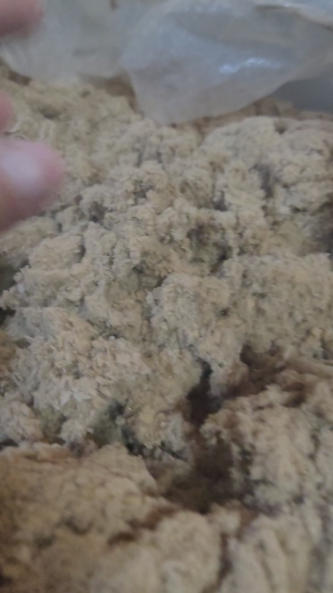 Worm Bedding EcoFluff