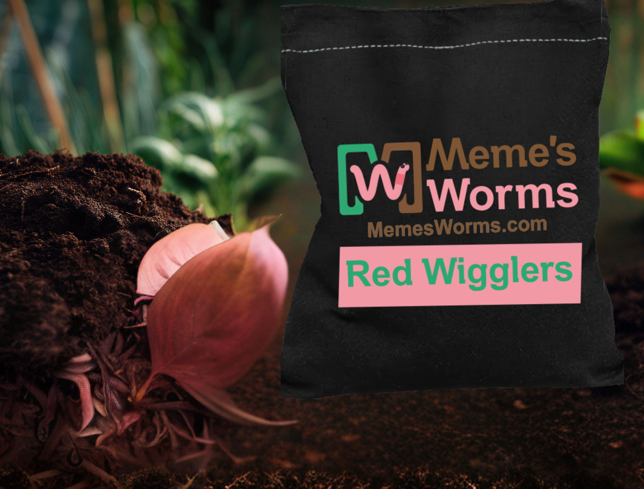 Bulk: Pure Red Wigglers Composting Worms