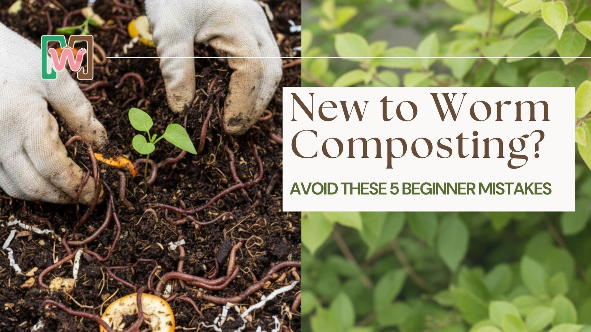 5 Common Worm Composting Mistakes Beginners Must Avoid