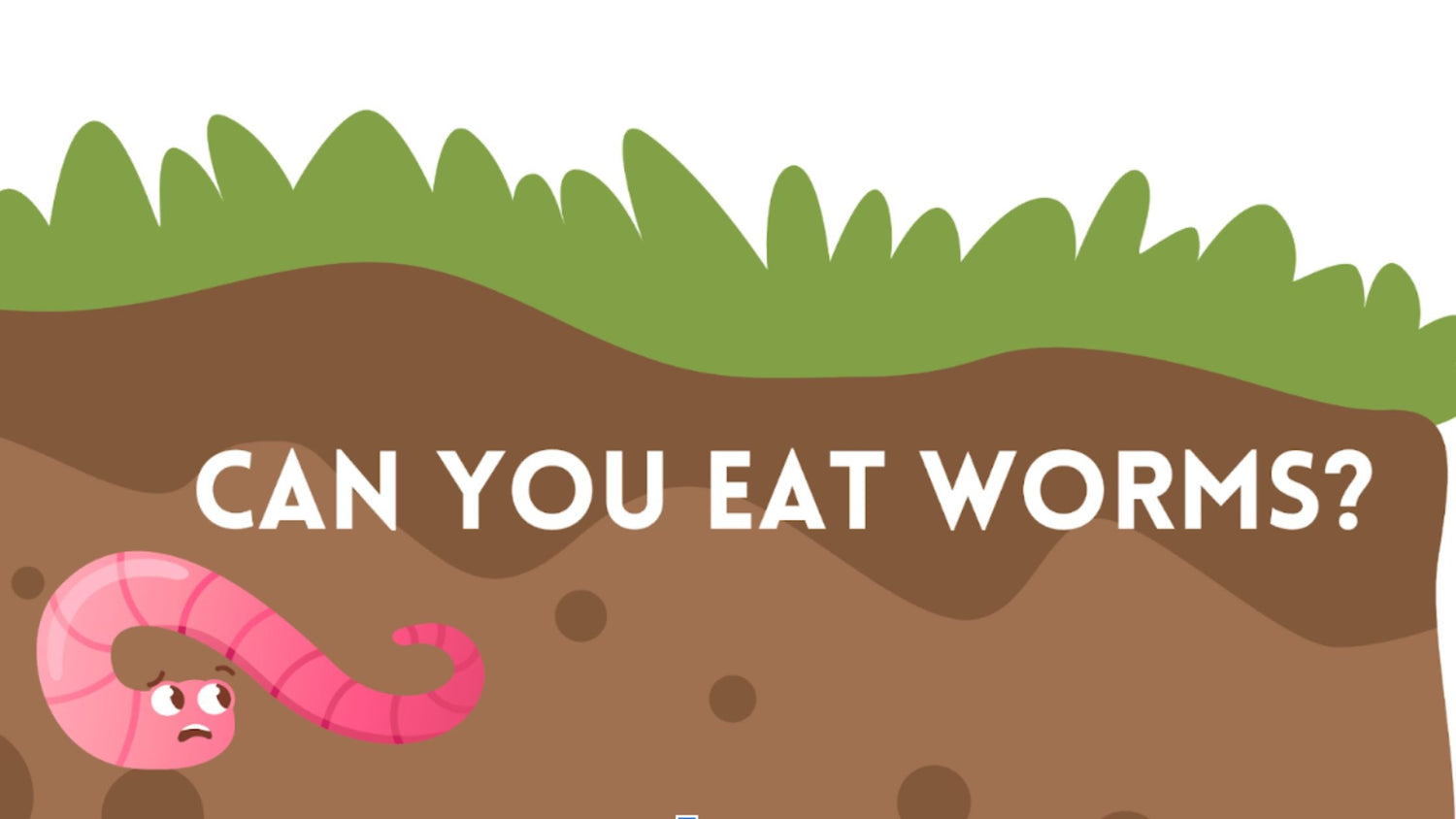Can You Eat Worms