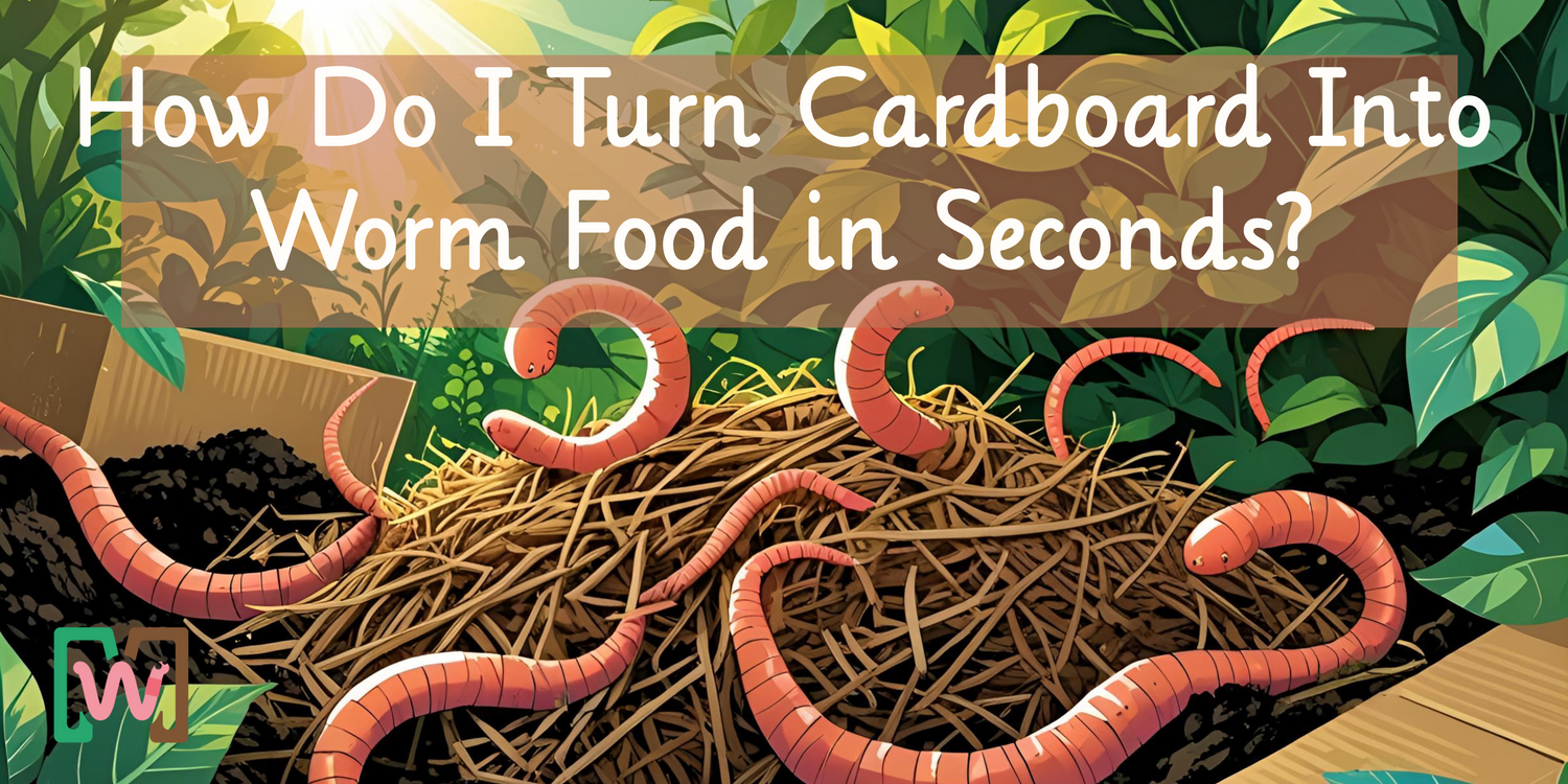 cardboard into worm food