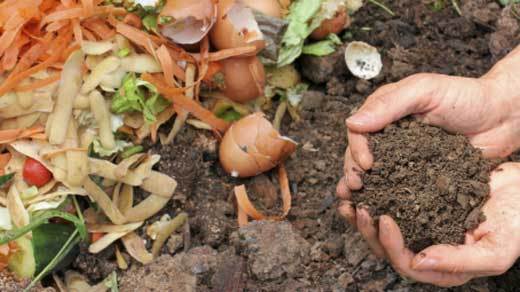 A Guide To Compost Your Thanksgiving Day Leftovers