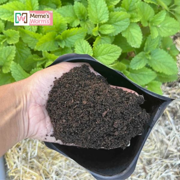 Earthworm Castings - Thumbnail 2