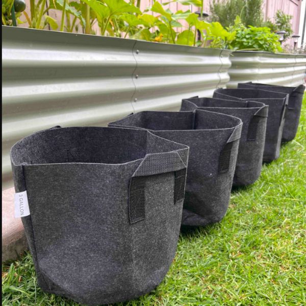 Contenedor de gusanos de tela de Meme