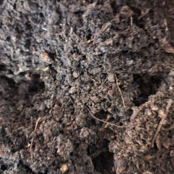 Mezcla de vermifusión Memes para lecho de lombrices