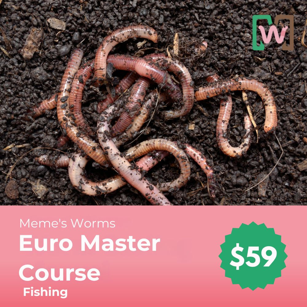 Meme's Worms Euro Master Course - Fishing
