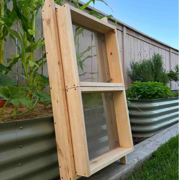 El tamiz de gusanos de Meme