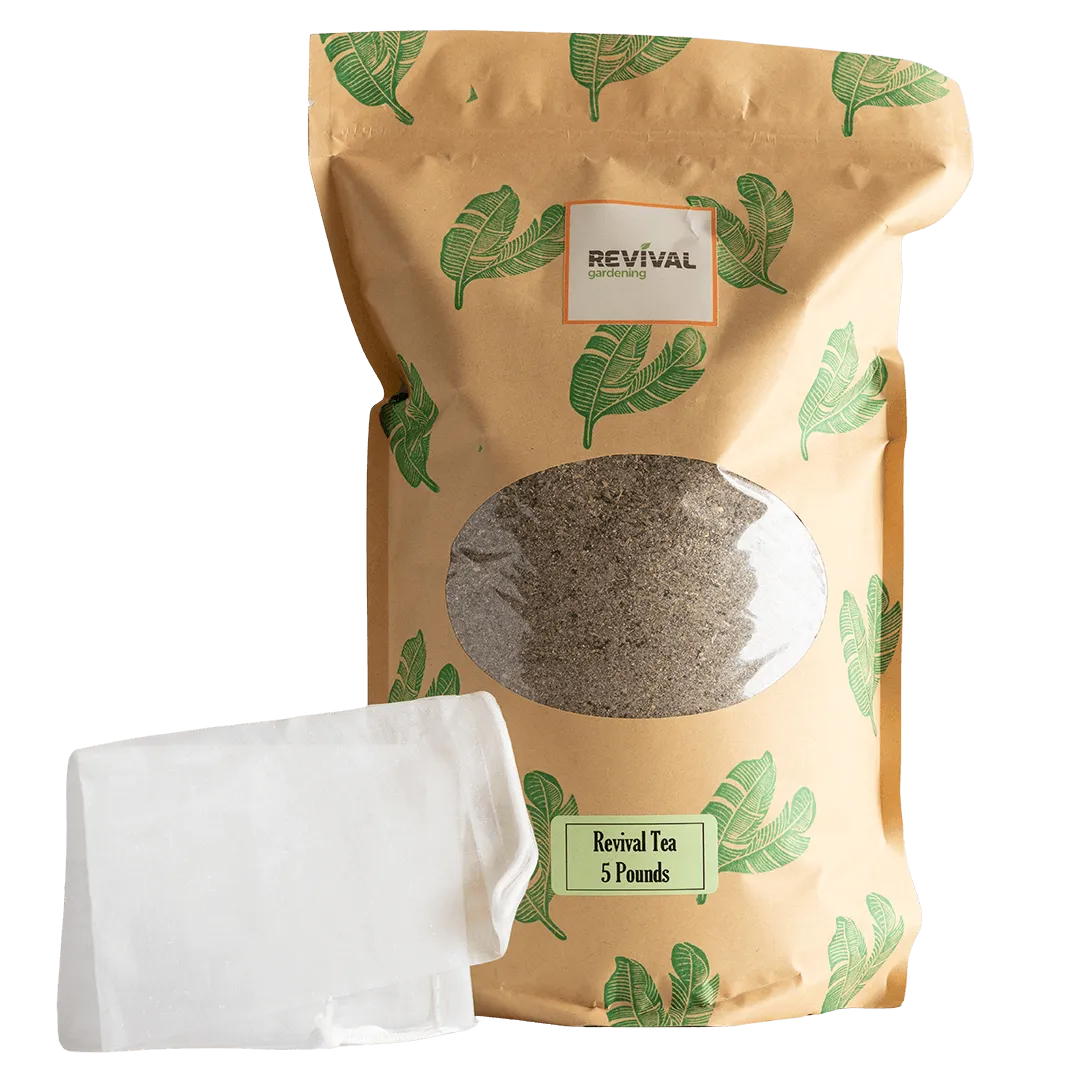 Revival Plant Tea