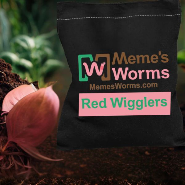 Bulk: Composting Worm Mix - Red Wigglers and European Nightcrawlers