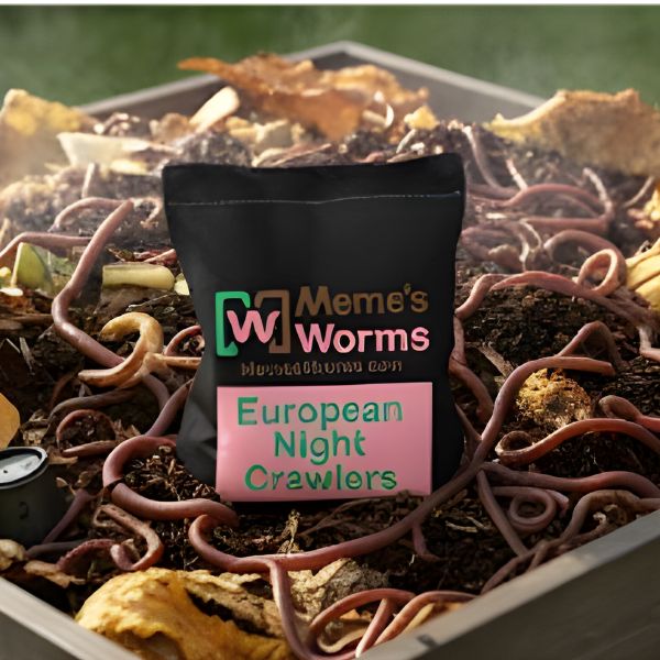 Lombrices de tierra europeas a granel (100 % puras)