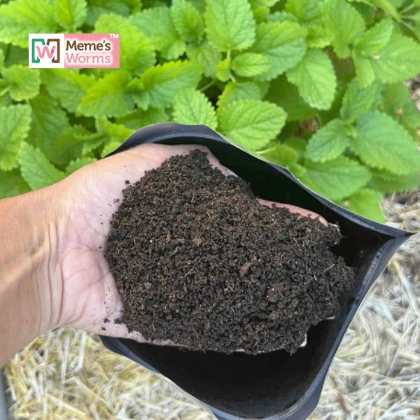 Humus de lombriz a granel