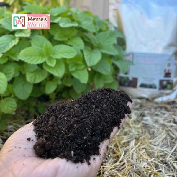 Humus de lombriz a granel