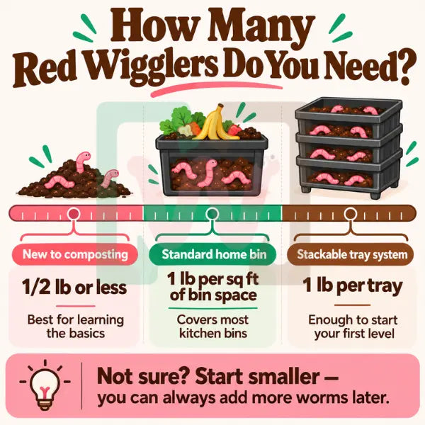 How many red wigglers do you need
