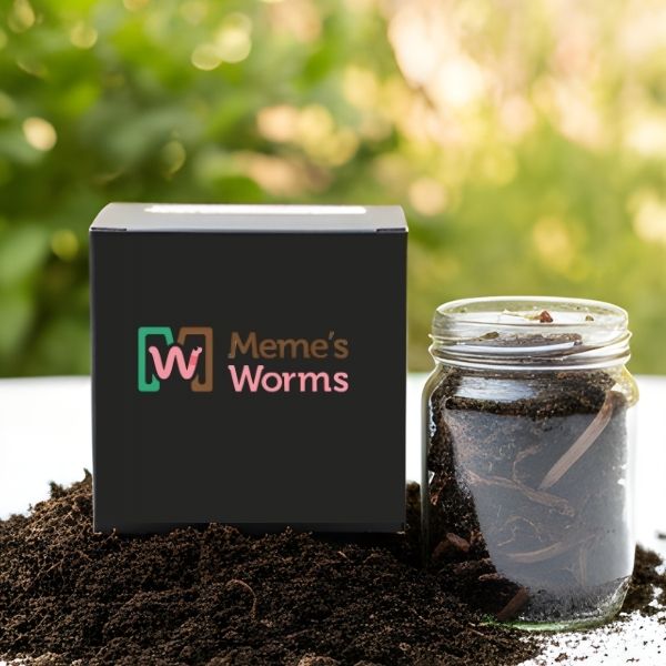Red Wiggler Composting Worms – Eisenia Andrei for Vermicomposting, Soil Health, and Organic Gardening