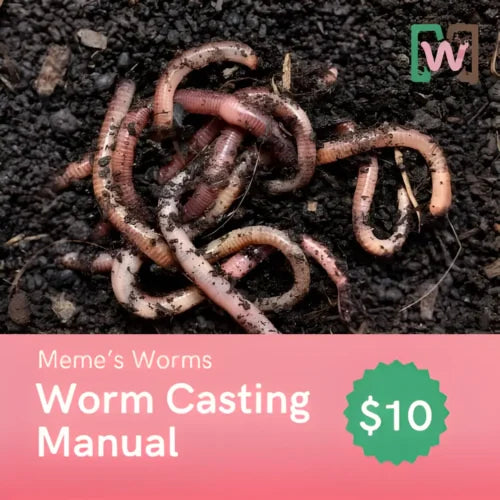 Curso de lombricultura para el éxito comercial